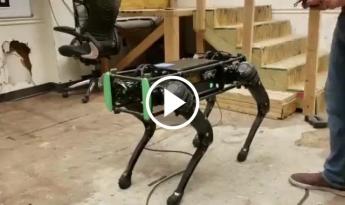 ABD Ordusu Robot Köpekleri Test Etti